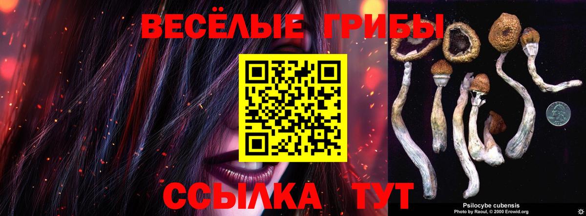 Галлюциногенные грибы мухоморы  как найти   Тверь  Вход с VPN  Галлюциногенные грибы Magic Shrooms 